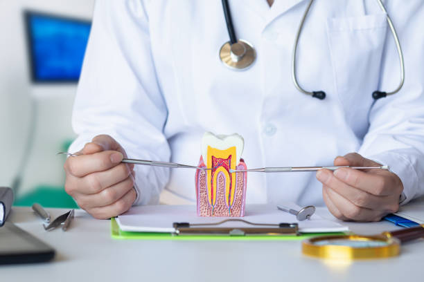 Best Emergency Treatment for Toothache in Cedaredge, CO
